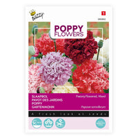 Mohn paeoniflorum rot-lila-rosa 1 m² - Blumensamen - Gartenpflanzen