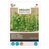 Brokkolikresse Brassica oleracea - Biologisch 36 m² - Gemüsesamen - Kräuter