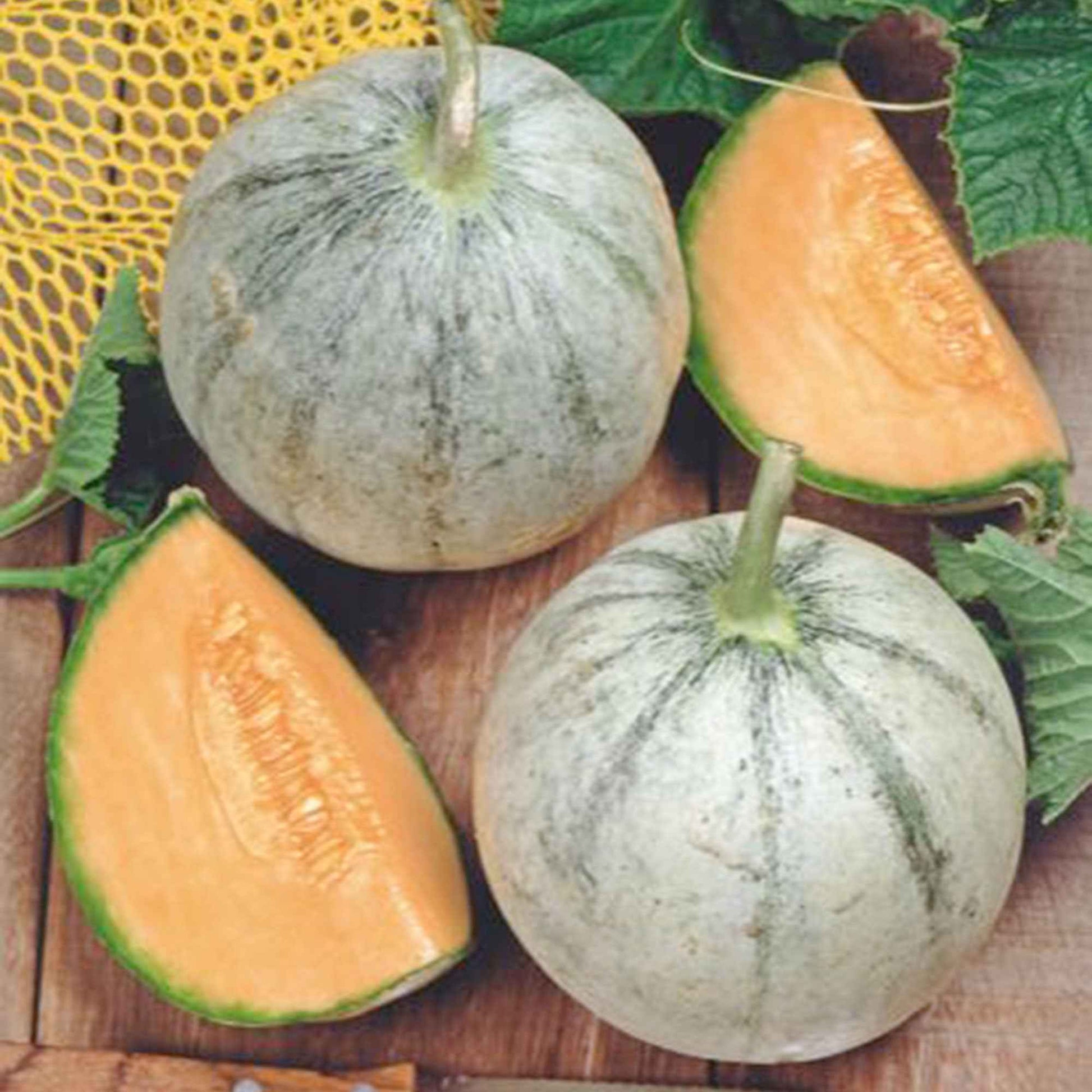 Melone Cucumis 'Charentais' - Biologisch 3 m² - Obstsamen - Gemüsegarten