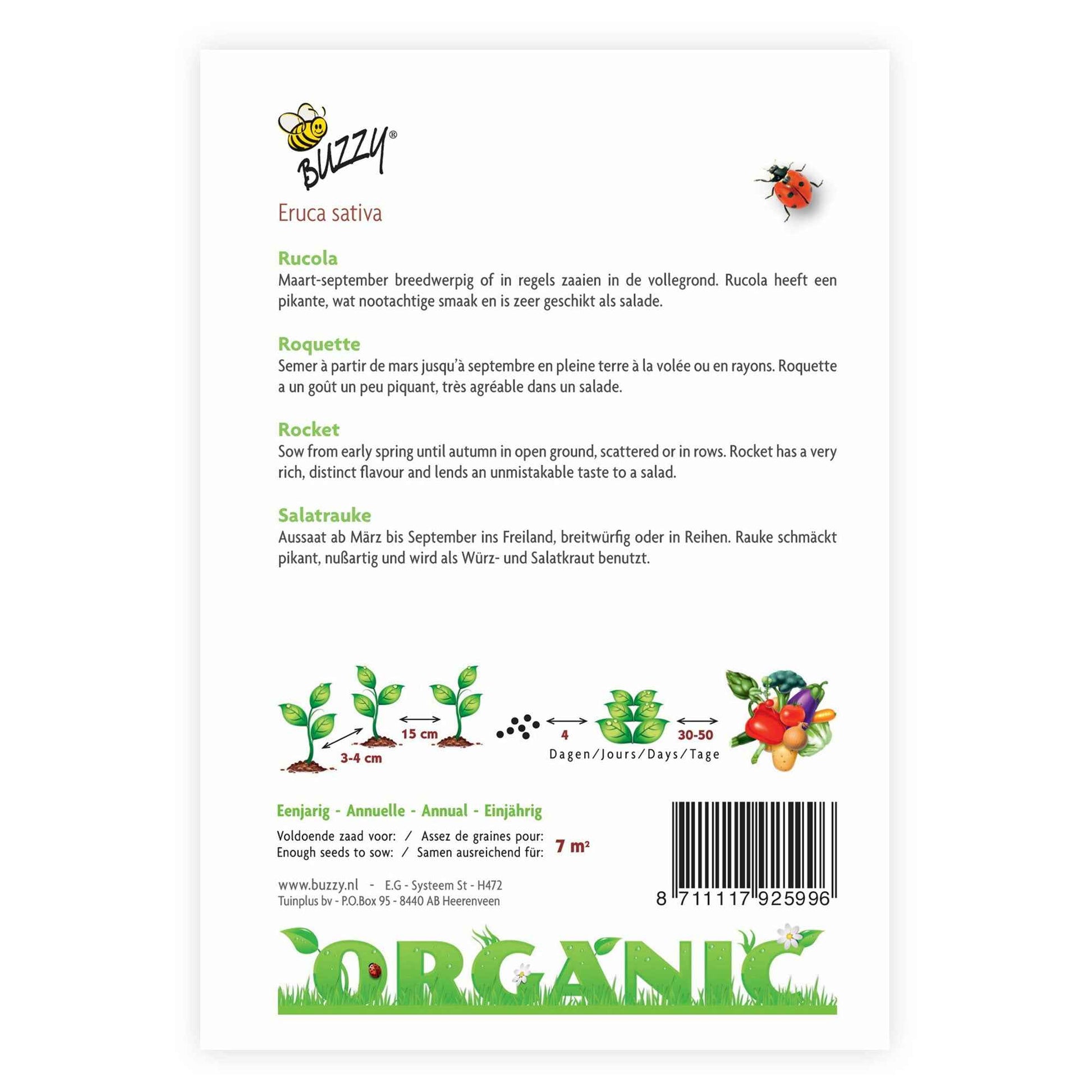 Rucolasalat Eruca sativa - Biologisch 7 m² - Kräutersamen - Gemüsegarten Pflege