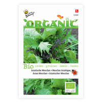Mesclun Brassica chinennis - Biologisch 3 m² - Gemüsesamen - Bio-Gartenpflanzen