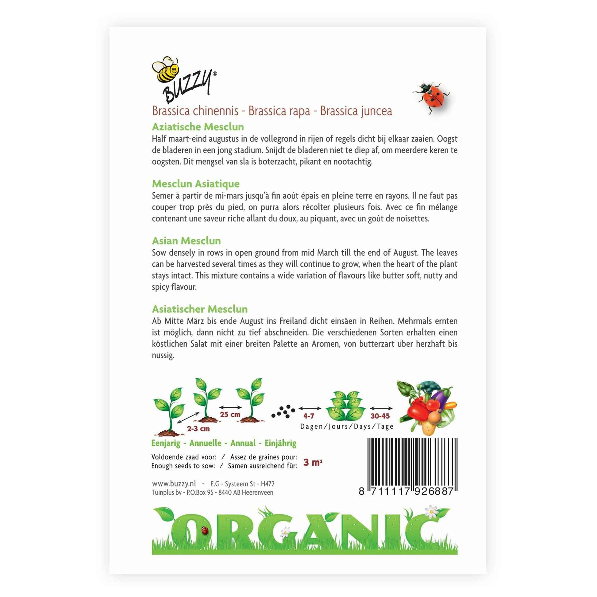 Mesclun Brassica chinennis - Biologisch 3 m² - Gemüsesamen - Bio-Gemüse