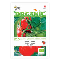 Tomate Solanum 'Ace' - Biologisch 25 m² - Gemüsesamen - Bio-Gemüse