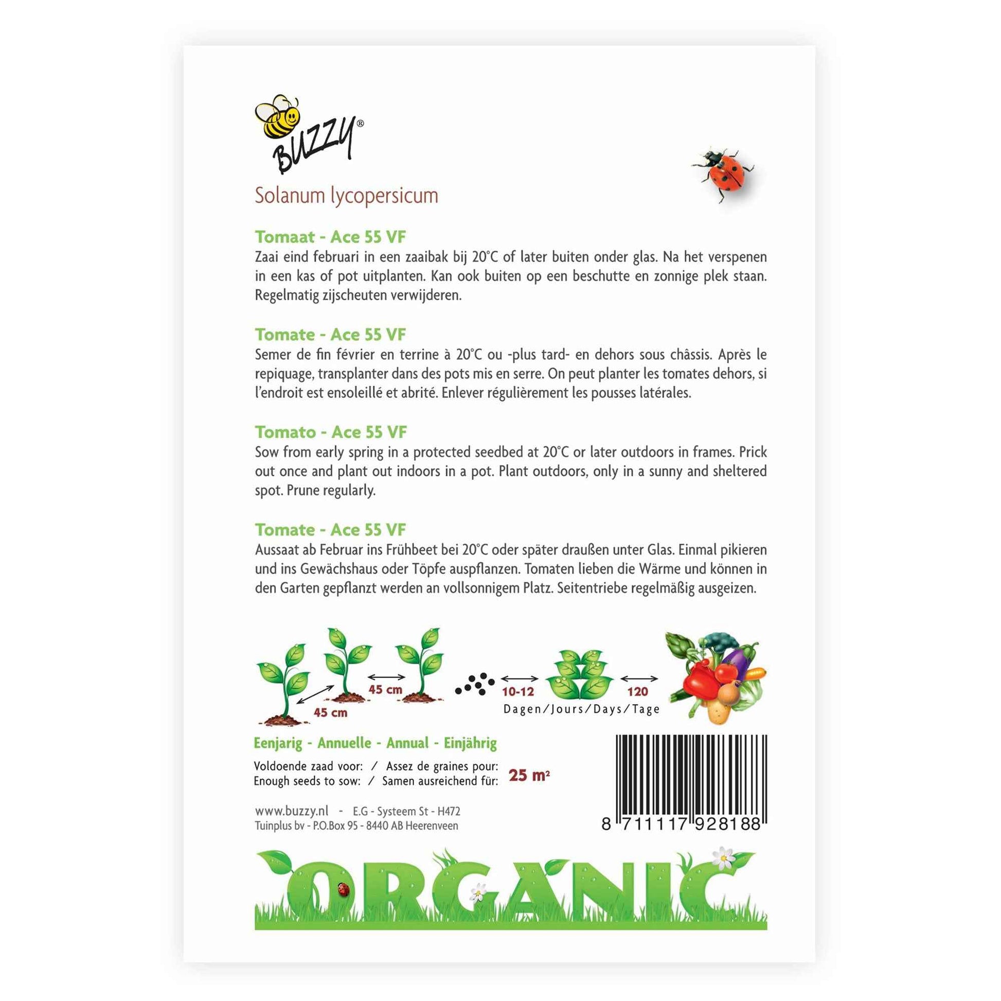 Tomate Solanum 'Ace' - Biologisch 25 m² - Gemüsesamen - Bio-Samen