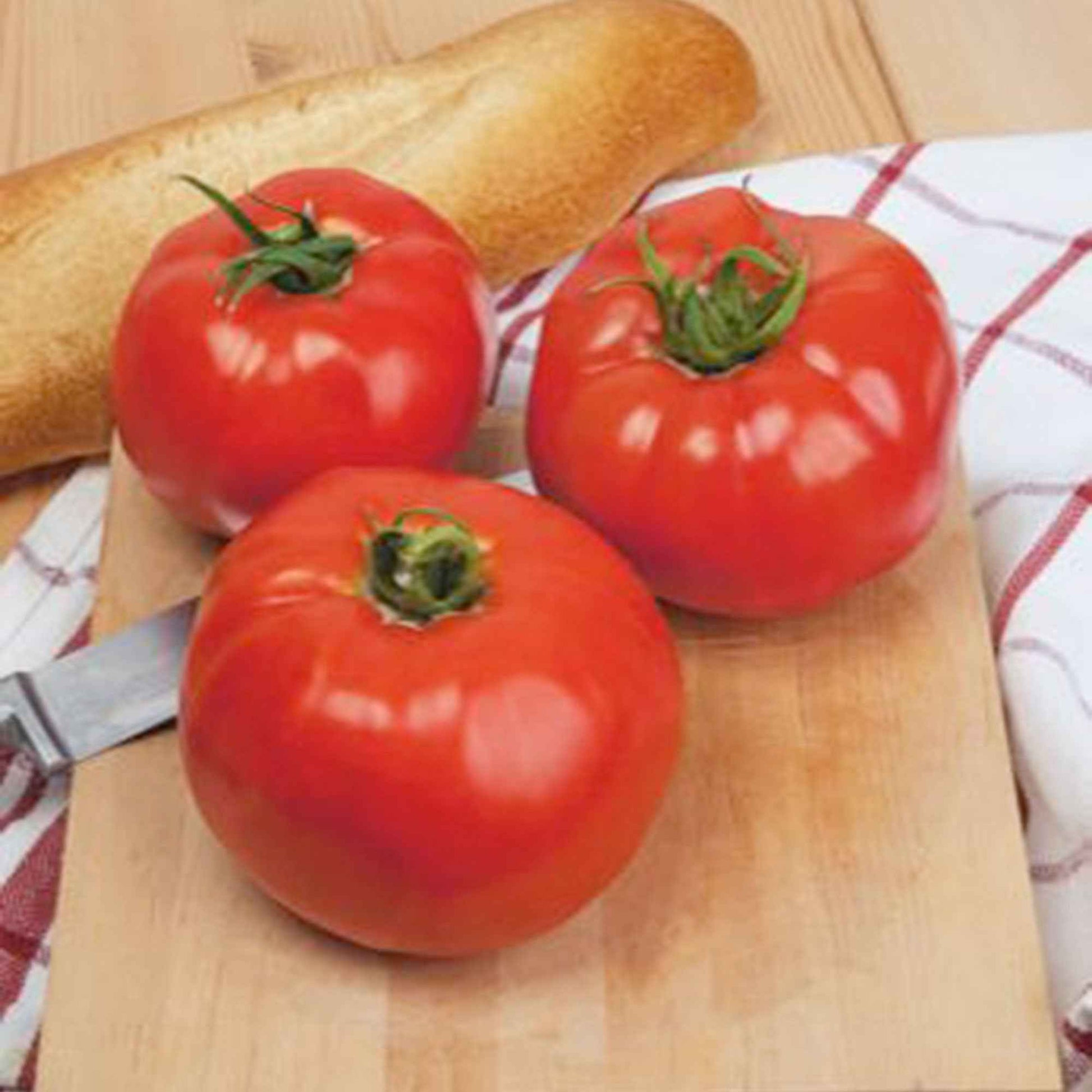 Tomate Solanum 'Ace' - Biologisch 25 m² - Gemüsesamen - Gartenpflanzen