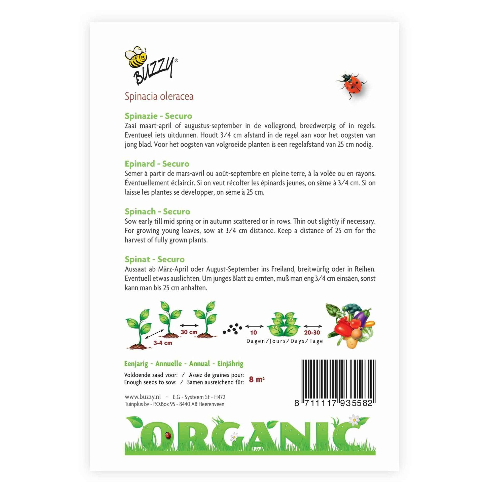 Spinat Spinacia 'Securo' - Biologisch 8 m² - Gemüsesamen - Bio-Samen