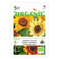 Sonnenblume Helianthus 'Compact Spray' - Biologisch gelb 3 m² - Blumensamen - Gemüsegarten