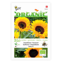 Sonnenblume Helianthus 'Zohar F1' - Biologisch gelb 3 m² - Blumensamen - Gartenpflanzen