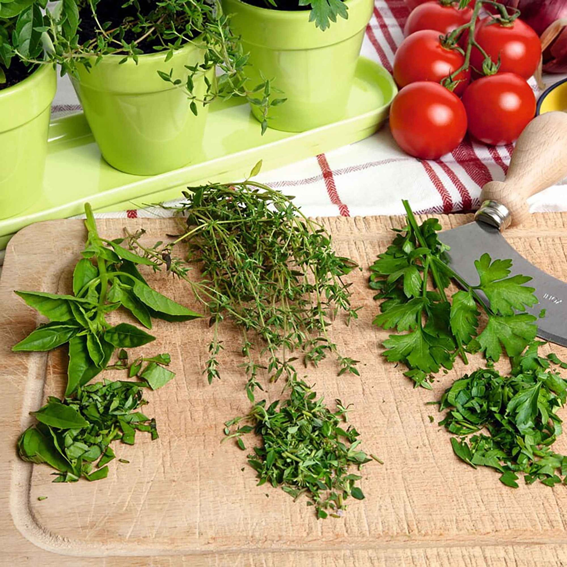 Küchenkräuter - Mischung inkl. grüner Töpfe und Schale - Kräutersamen - Gemüse- und Kräuter Set Geschenke