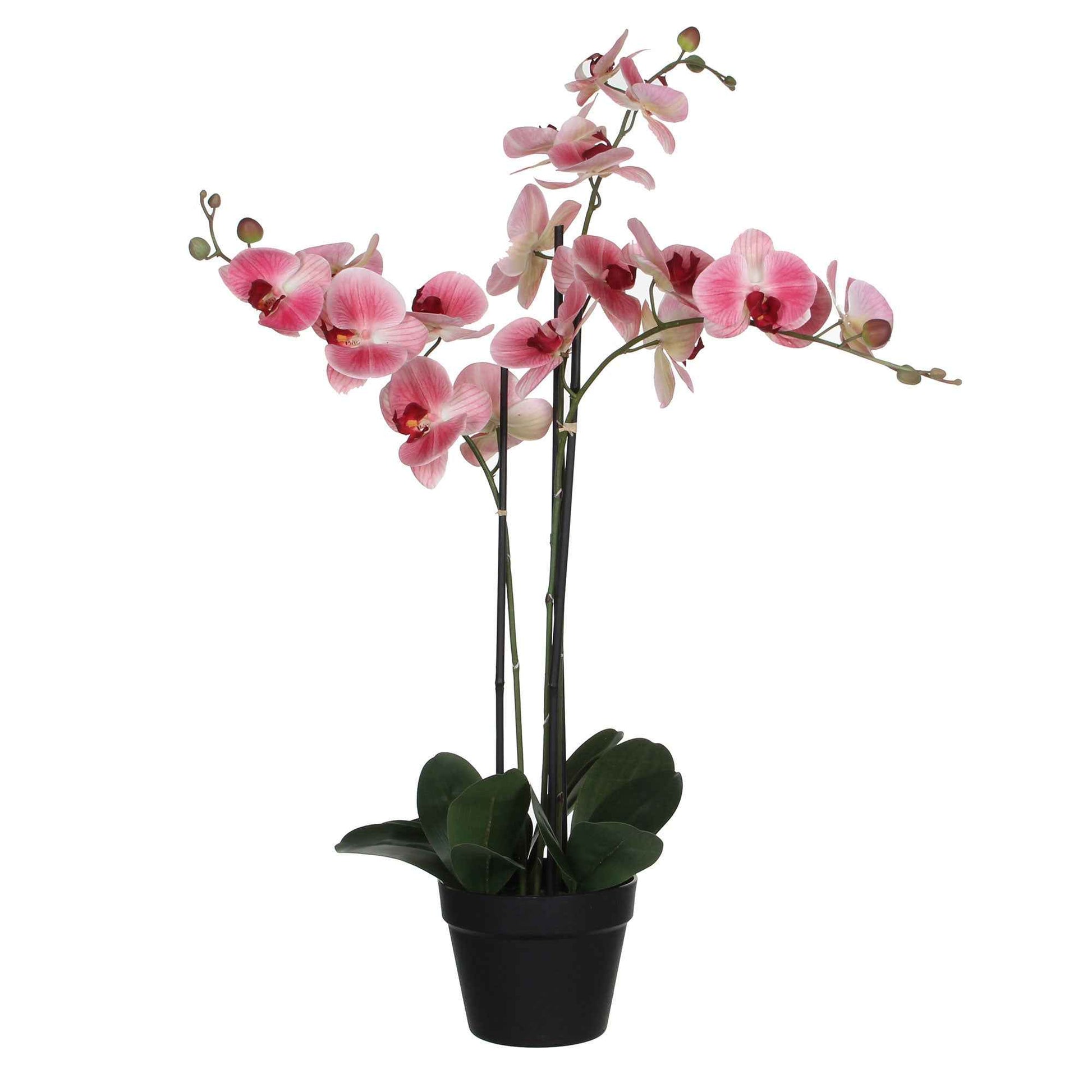 Künstliche Pflanze Orchidee Phalaenopsis rosa Inkl. Runder Ziertopf, Kunststoff - Blühende Kunstpflanzen
