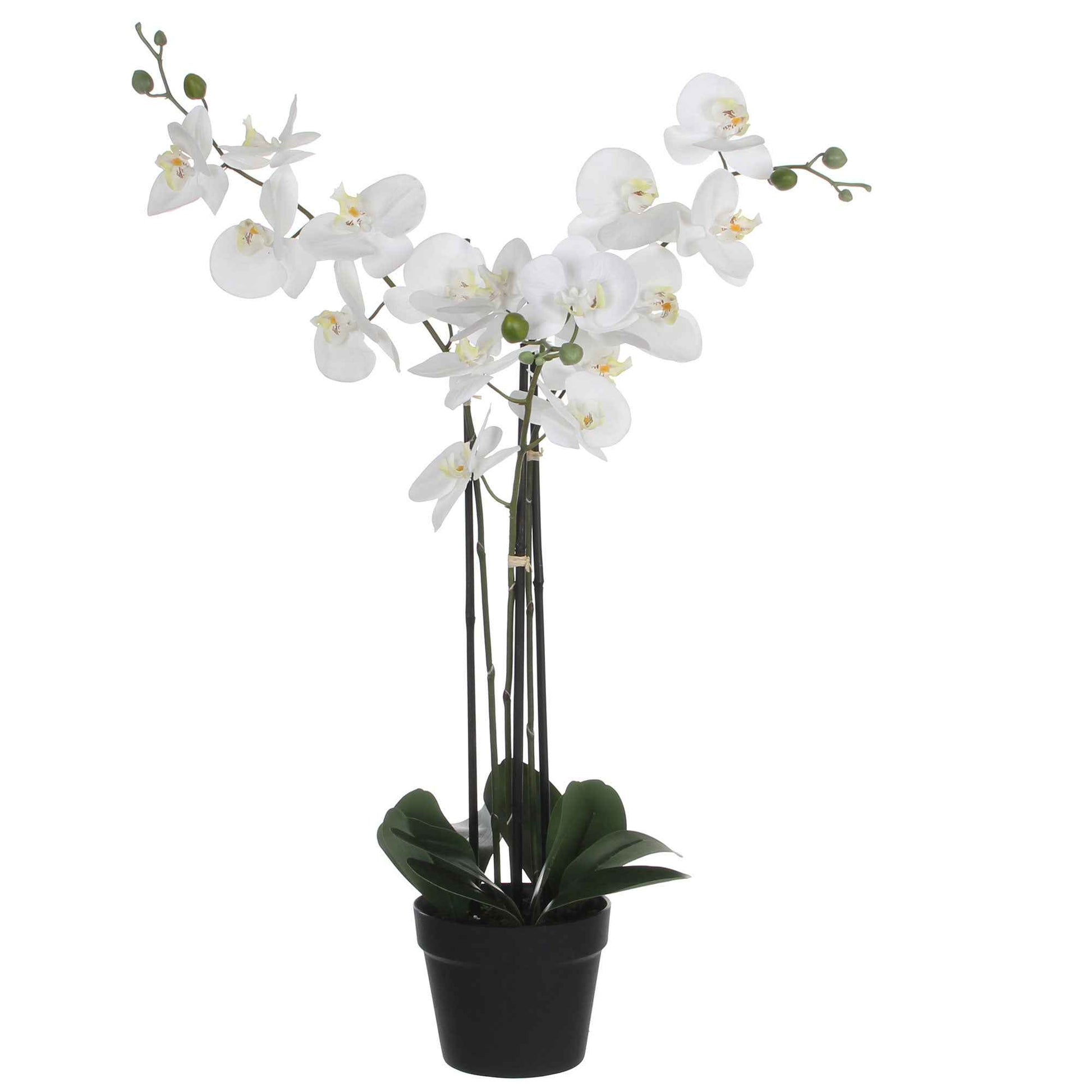Künstliche Pflanze Orchidee Phalaenopsis weiβ Inkl. Runder Ziertopf, Kunststoff - Kunstpflanzen