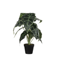 Künstliche Pflanze Elefantenohr Alocasia Inkl. Runder Ziertopf, Kunststoff - Grüne Kunstpflanzen