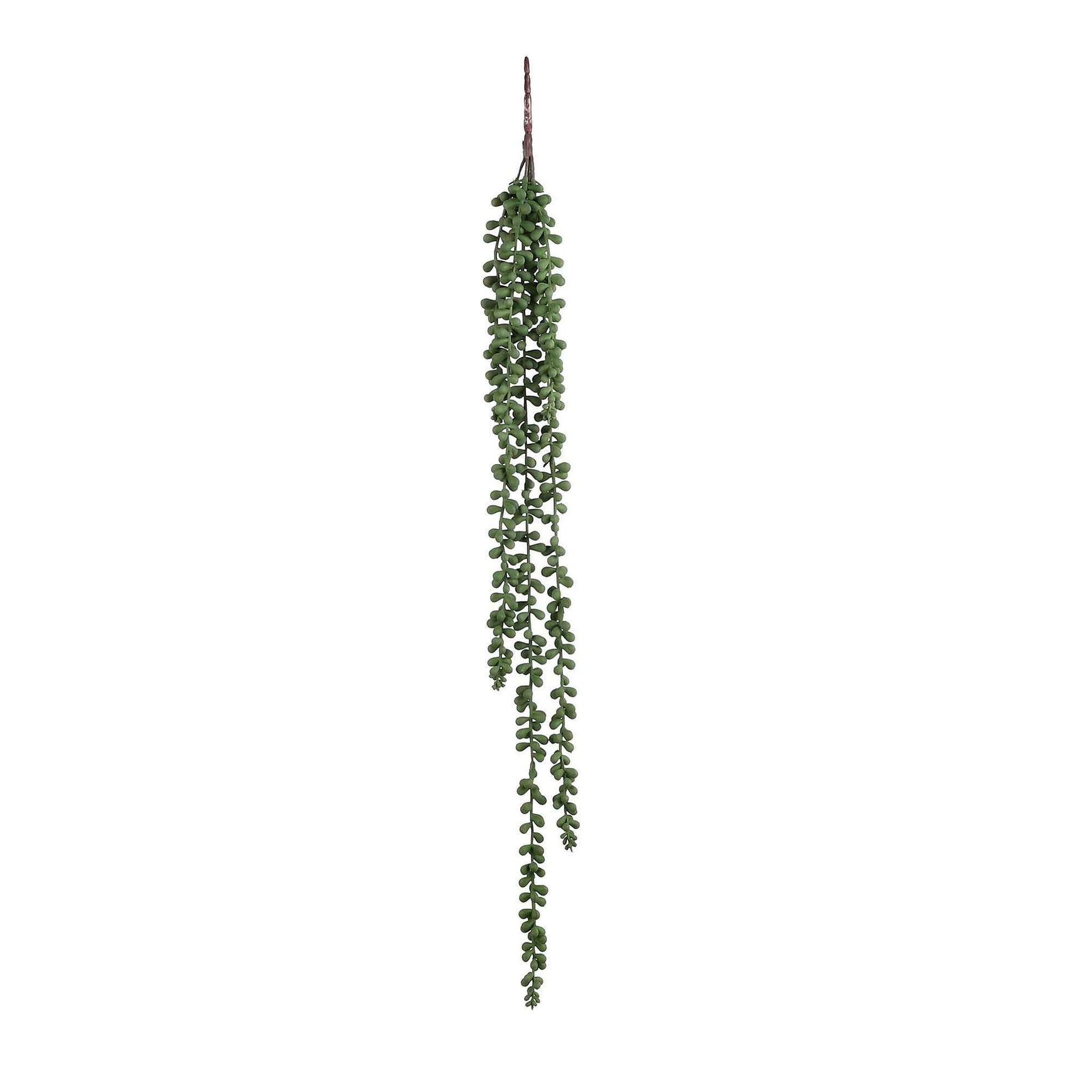 Künstliche Pflanze Fettpflanze Senecio 'Pearl' - Grüne Kunstpflanzen