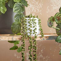 Künstliche Pflanze Fettpflanze Senecio 'Pearl' - Beliebte Kunstpflanzen