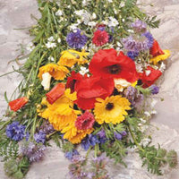 Wildblumen Mix - Biologisch 2 m² - Blumensamen - Blumensaat
