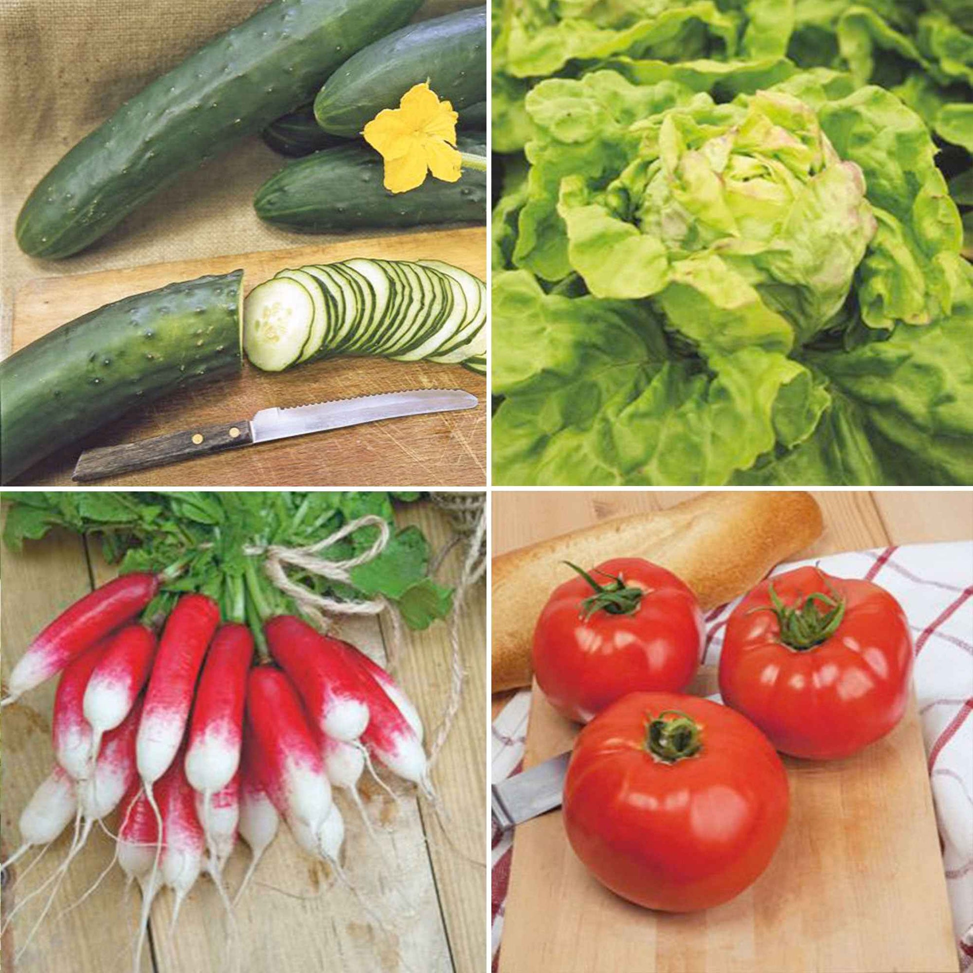 Frühlingsgemüsepaket 'Frischer Frühling' - Biologisch - Gemüsesamen - Gemüse