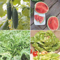 Sommerpaket 'Sonniger Sommer' - Biologisch Gemüsesamen, Kräutersamen, Obstsamen - Bio-Samen