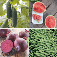 Gemüsegartenpaket 'Bequemes Beet' - Biologisch Gemüsesamen, Obstsamen - Bio-Gartenpflanzen