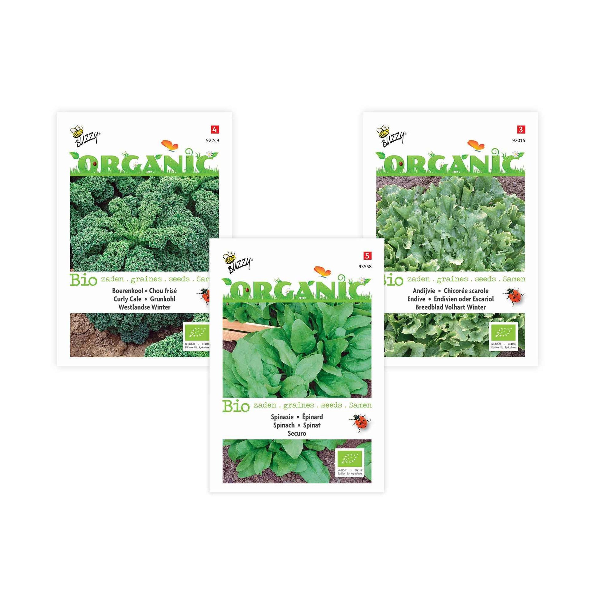 Grünes Smoothie-Paket 'Glühend Grün' - Biologisch - Gemüsesamen - Bio-Gartenpflanzen