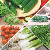Stadtgartenpaket 'Schmackhafte Stadt' Gemüsesamen, Kräutersamen - Gartenwerkzeug für den Gemüsegarten