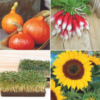 Gemüsegärtnerpaket für Kinder 'Klasse Kids' - Biologisch Gemüsesamen, Kräutersamen, Blumensamen - Anzuchtsets für Kinder