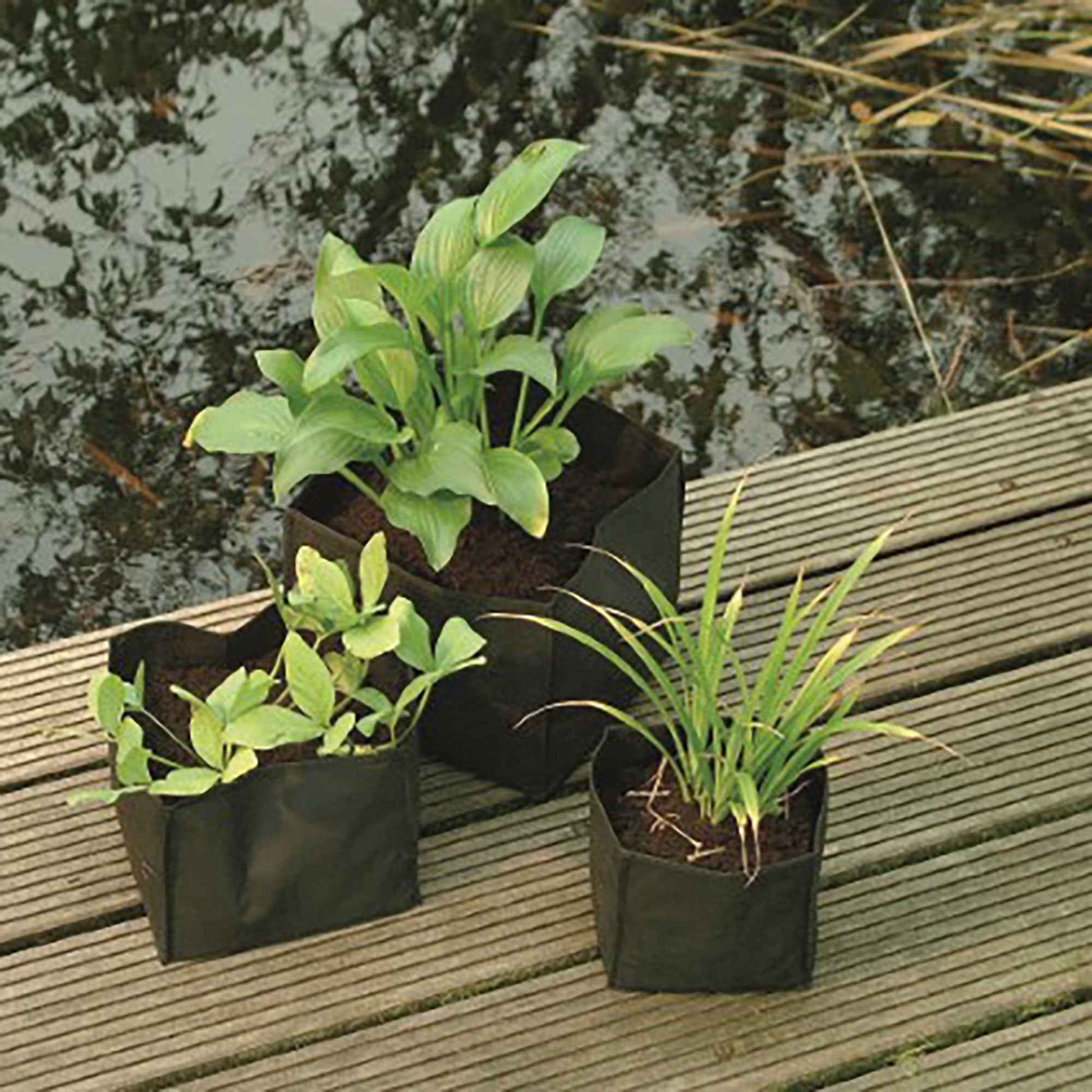 Wasserpflanzensäckchen - Quadrat - Körbe für Teichpflanzen