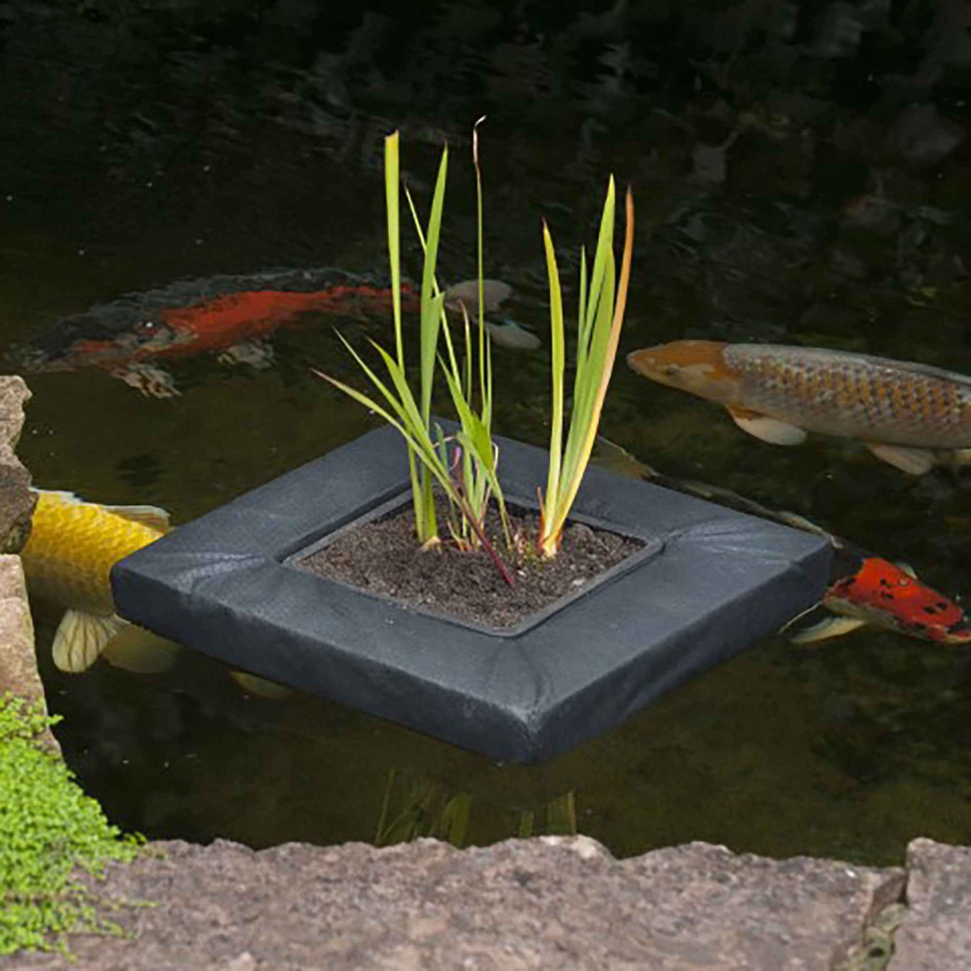 Schwimmende Pflanzentasche - Teich Pflege