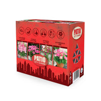 40x Blumenzwiebeln - Mischung 'Patio City Garden Pink' rosa - Blumenzwiebel Geschenke