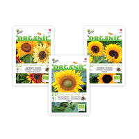 Sonnenblumenpaket Helianthus 'Sonnenblumenmeer' - Biologisch gelb 9 m² - Blumensamen - Gartenpflanzen