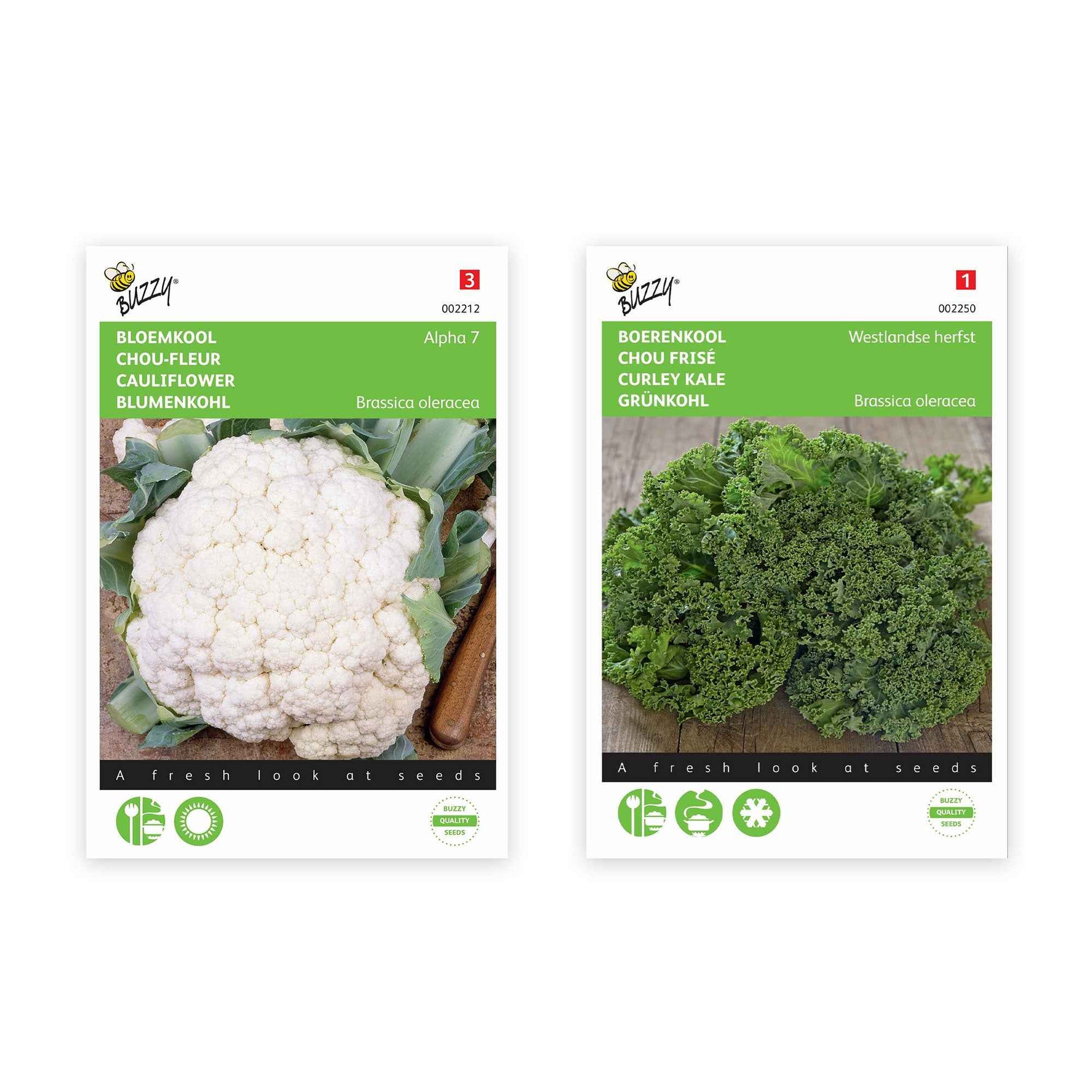 Kohlpaket 'Kräftige Kohle' 60 m² - Gemüsesamen - Gemüsegarten