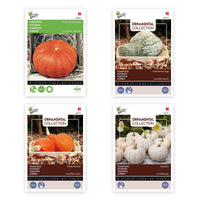Kürbispaket 'Voller Variation' 21 m² - Gemüsesamen - Gemüsegarten Pflege