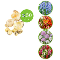 300x Blumenzwiebelpaket 'Tulpen und Mehr' - Beliebte Blumenzwiebeln