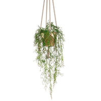 Künstliche Pflanze Kletter-Feige Rhipsalis grün inkl. Ziertopf, goldfarben - Beliebte Kunstpflanzen