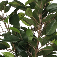 Künstlicher Ficus 'Natasja', grün inkl. Ziertopf, weiß - Grüne Kunstpflanzen