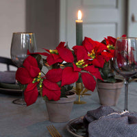 Künstlicher Weihnachtsstern Poinsettia rot-grün - Weihnachtskollektion