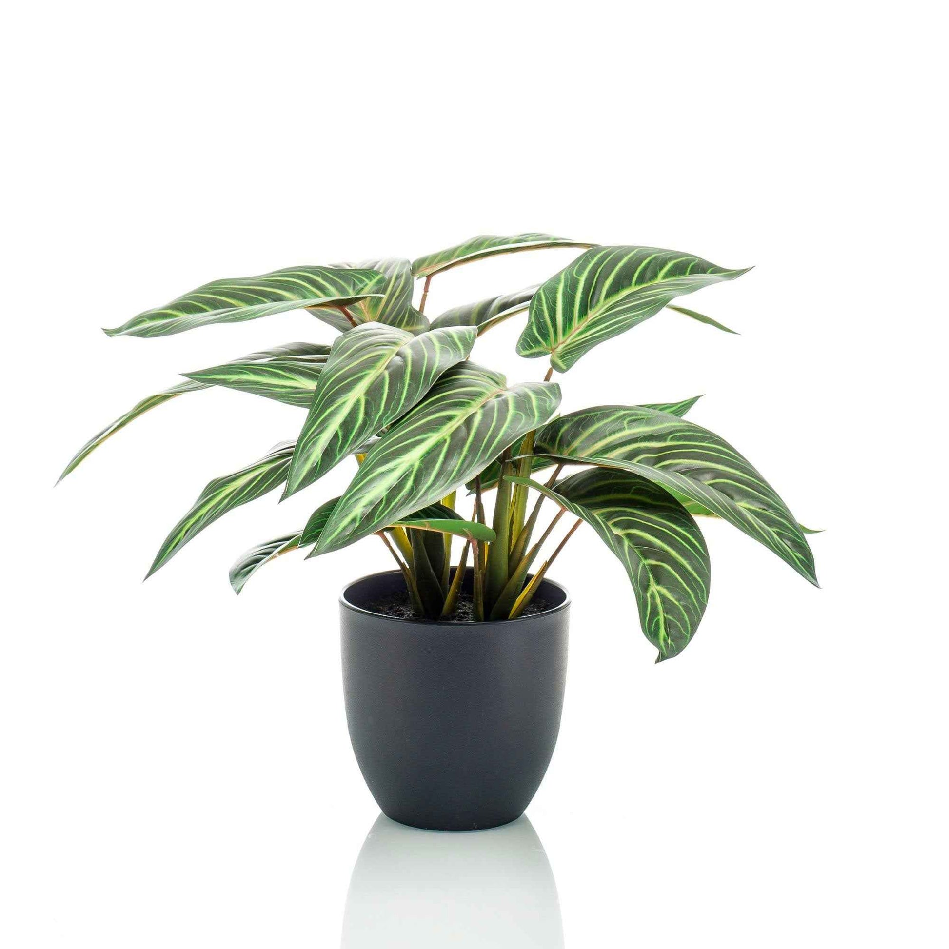 Kunstpflanze Calathea zebrina inkl. Dekotopf - Grüne Kunstpflanzen