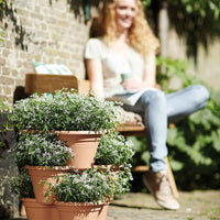 Elho Blumentopf Green Basics senkrechte Gärten braun - Außentopf - Blumentopf Größen