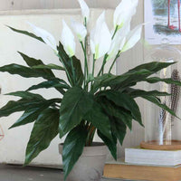 Kunstpflanze Einblatt Weiß - Angebote