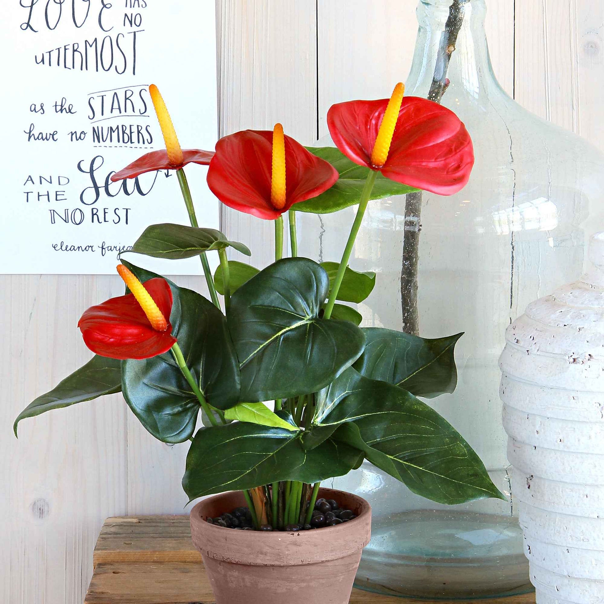 Kunstpflanzen Anthurie Rot kaufen