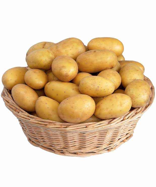 Kartoffelkollektion: Amandine, Jeannette, Blanche. - Solanum tuberosum 'amandine', 'jeannette', 'blanche' - Gemüsegarten