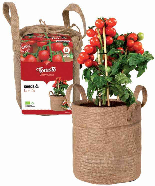 Kirschtomaten-Set mit Deko-Beutel und Blumenerde - Solanum lycopersicum - Gemüsegarten
