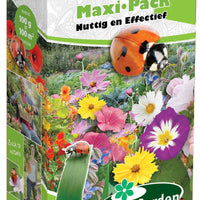 Blumenmischung Nützlicher und Wirksamer Gemüsegarten MaxiPack - 2