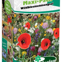Wildblumenmischung MaxiPack - 2