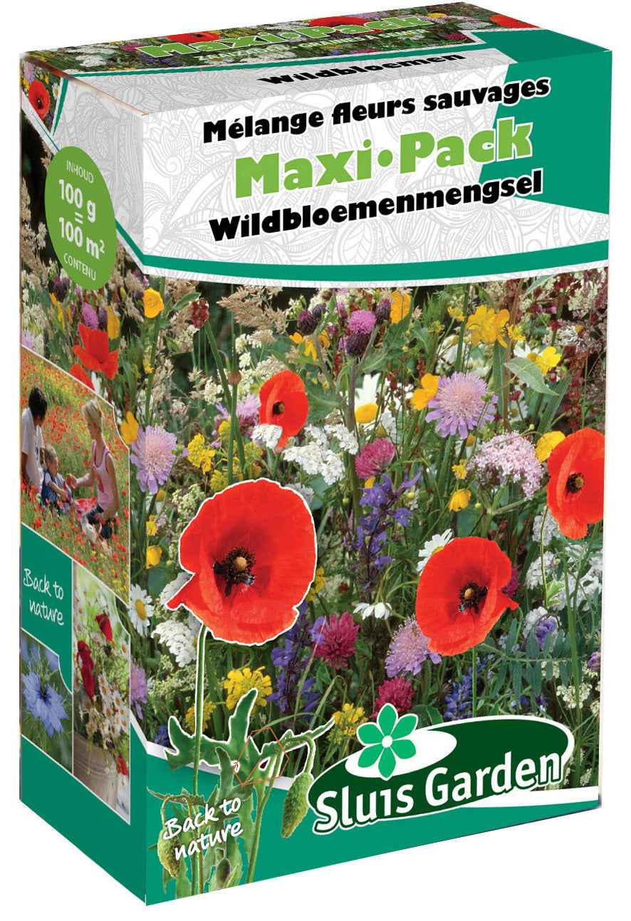 Wildblumenmischung MaxiPack - 2