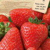 Erdbeere Grandian F1 - Fragaria x ananassa grandian f1 - Gemüsegarten